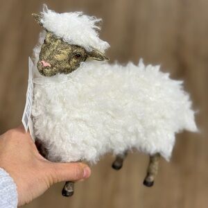 Charming White Sheep